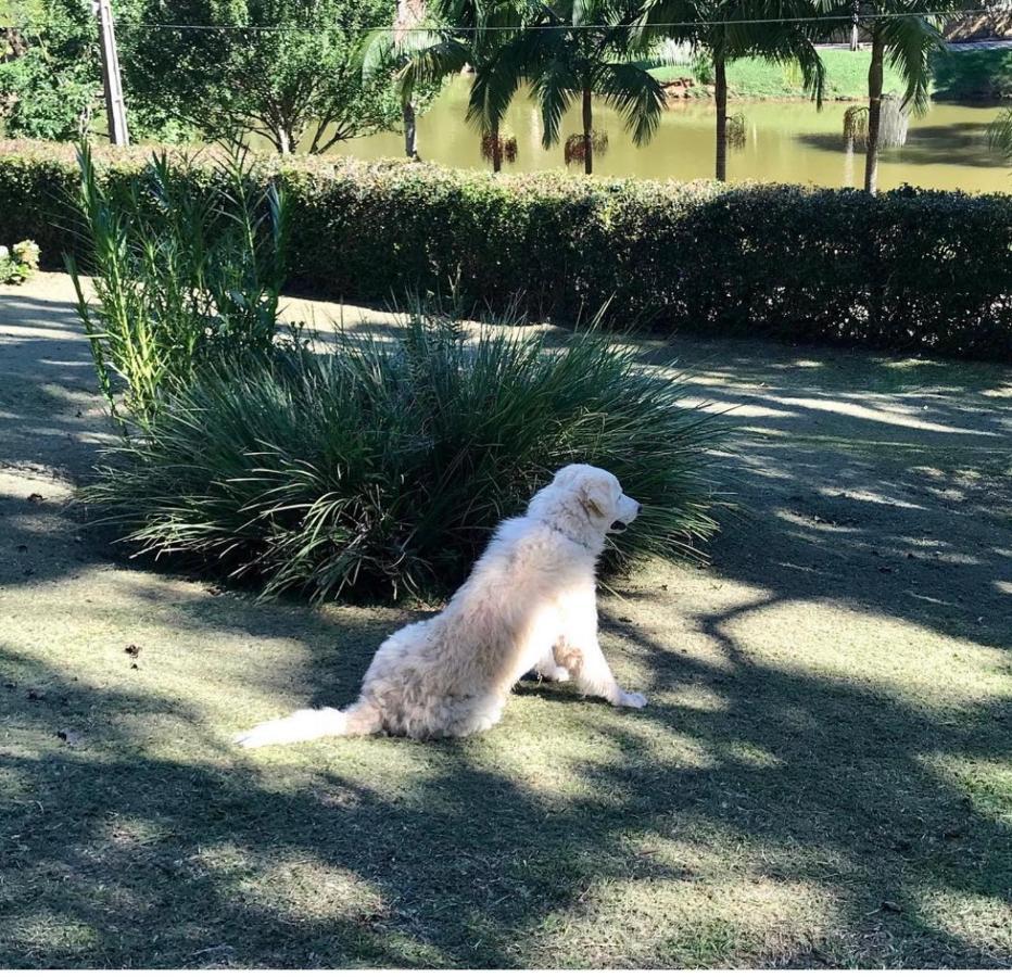 Casa Na Serra Villa Teresópolis Buitenkant foto