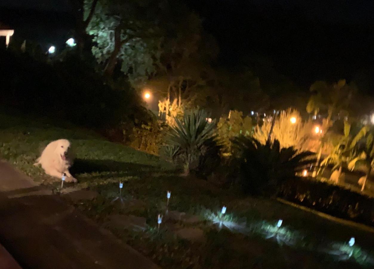 Casa Na Serra Villa Teresópolis Buitenkant foto